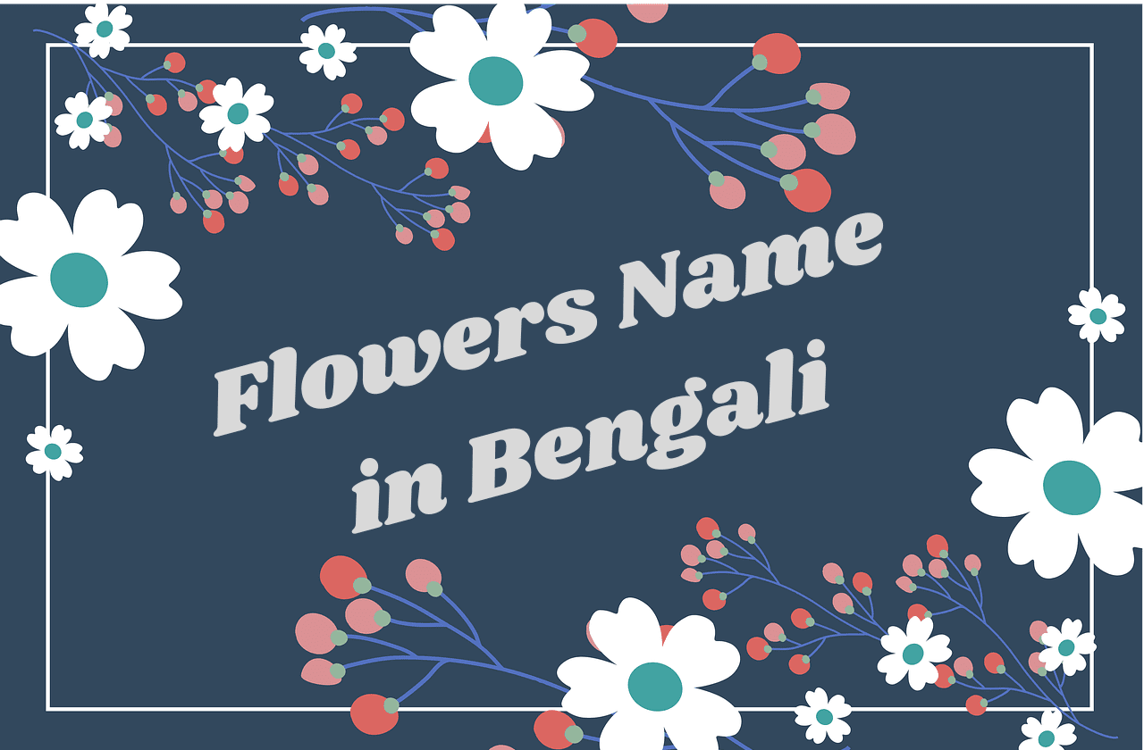 flowers name in bengali