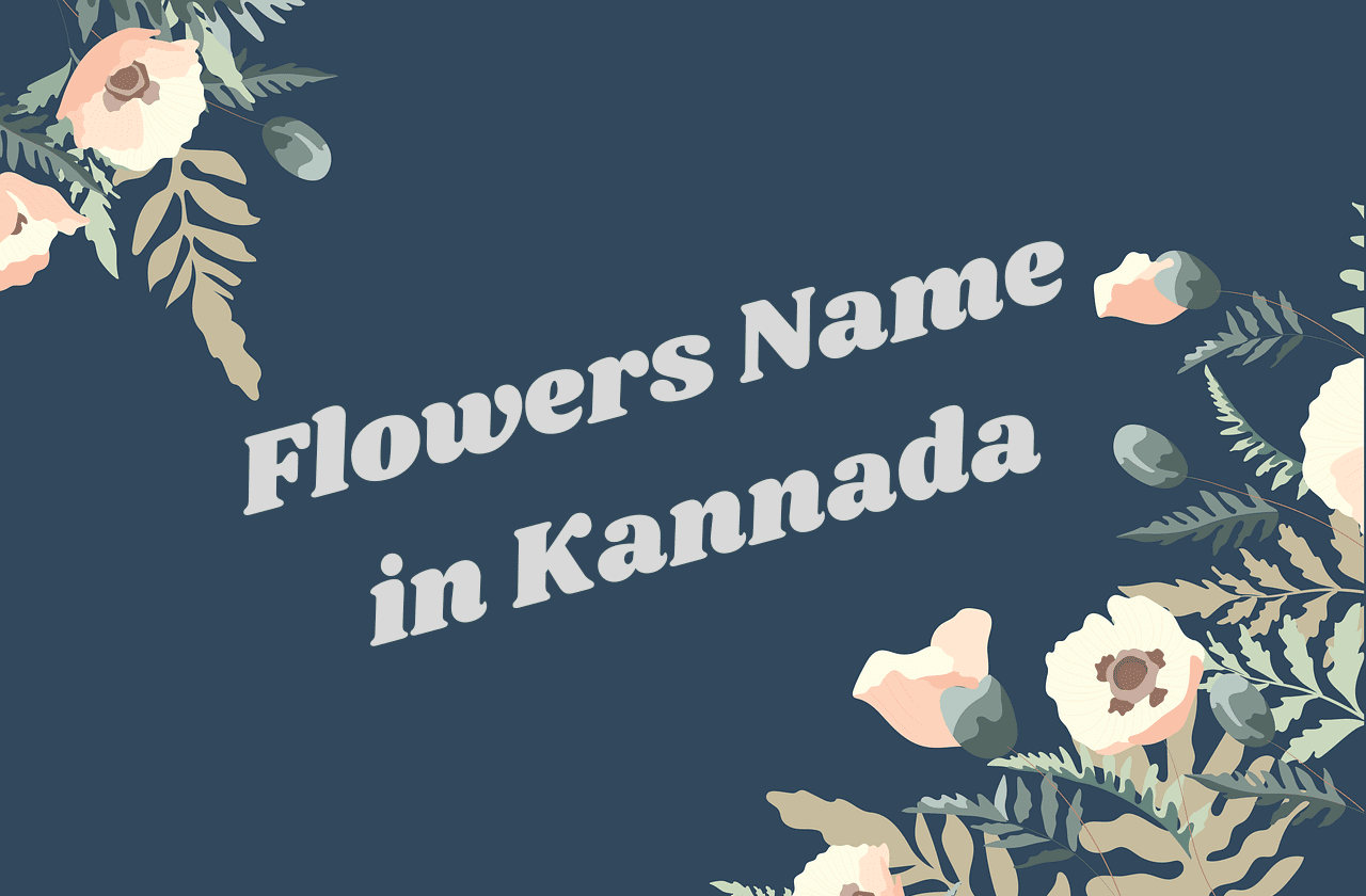 flowers name in kannada