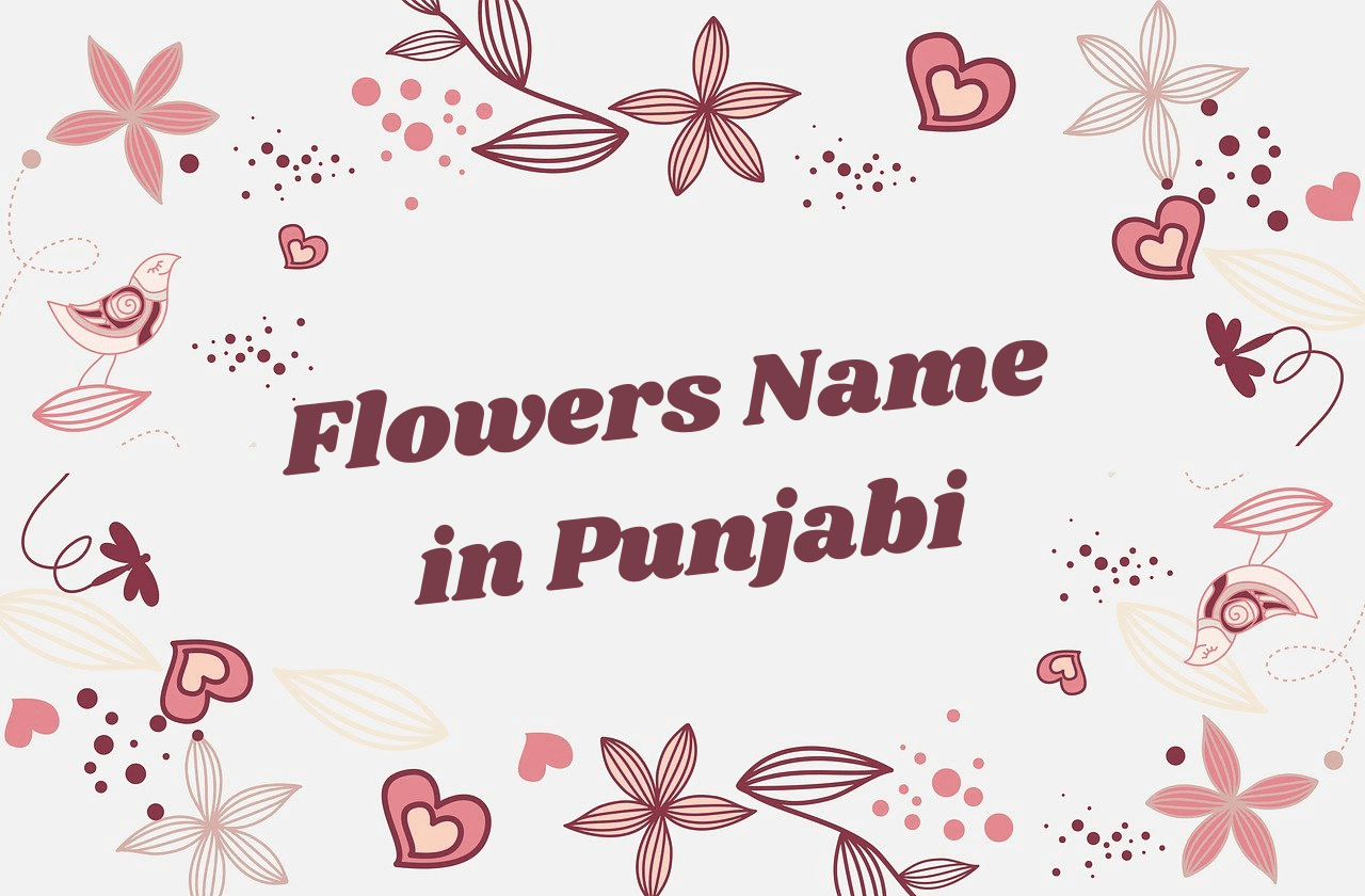 flowers name in punjabi