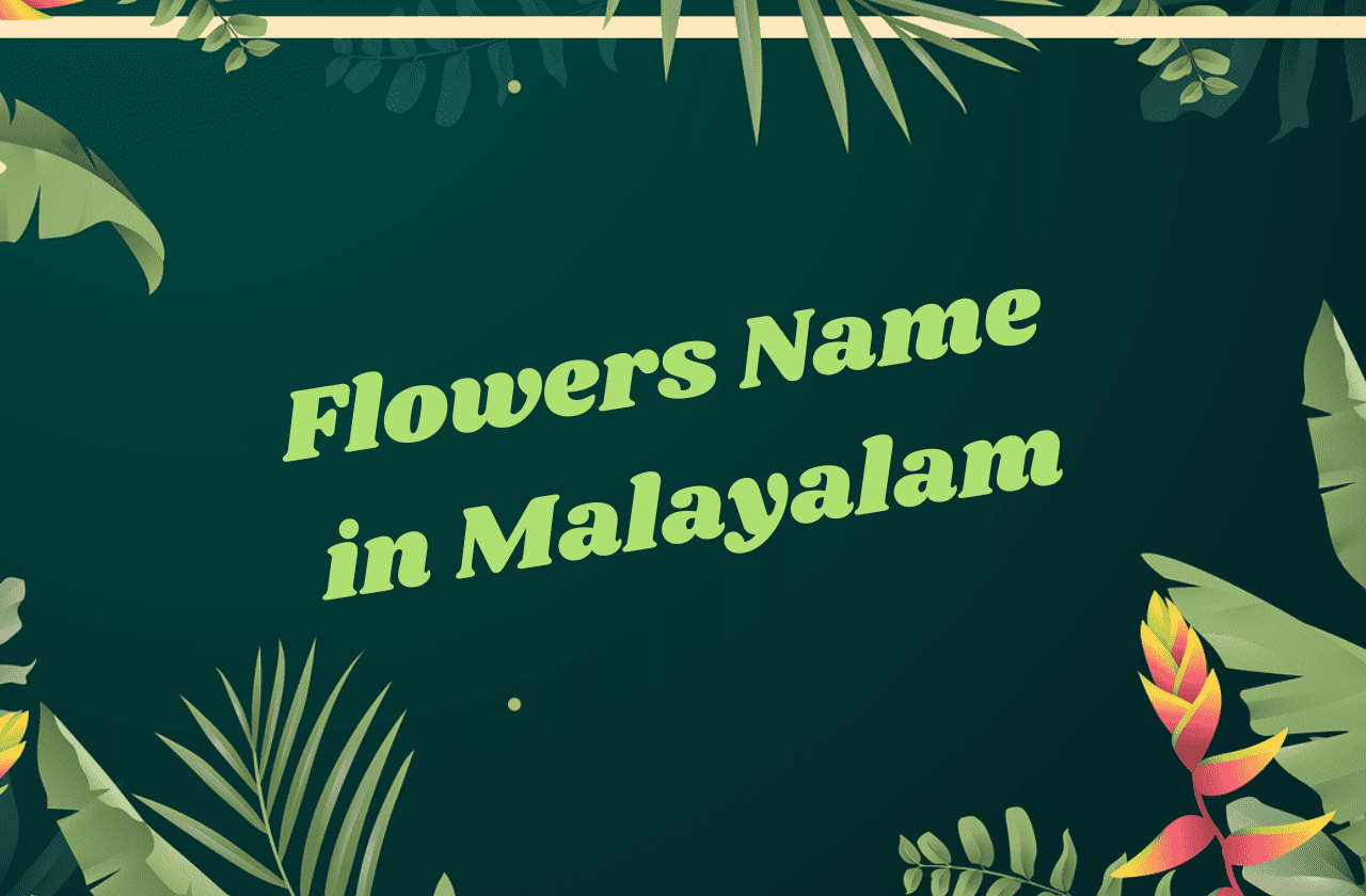 flowers name in malayalam