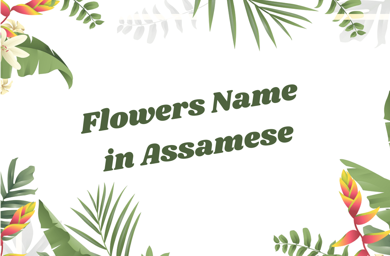 flowers name in assamese