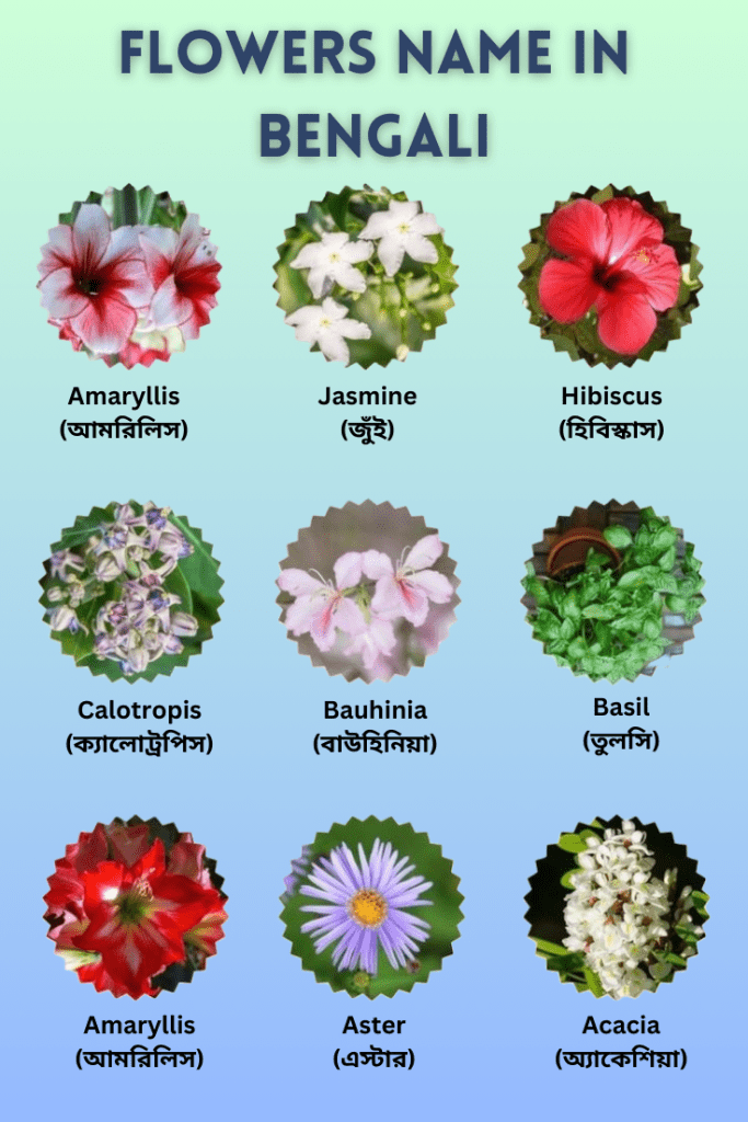 flowers name in bengali