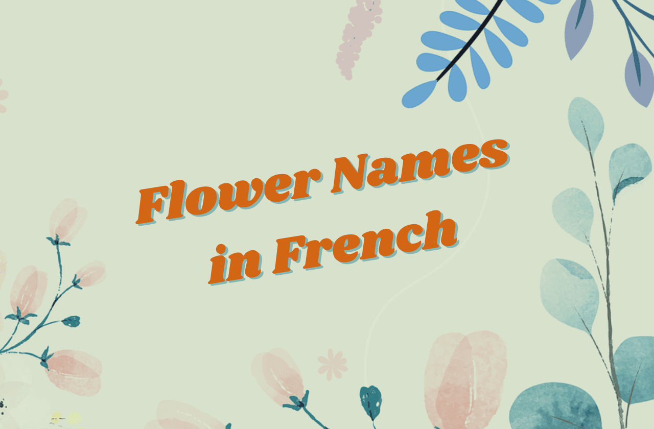 flowers name in french