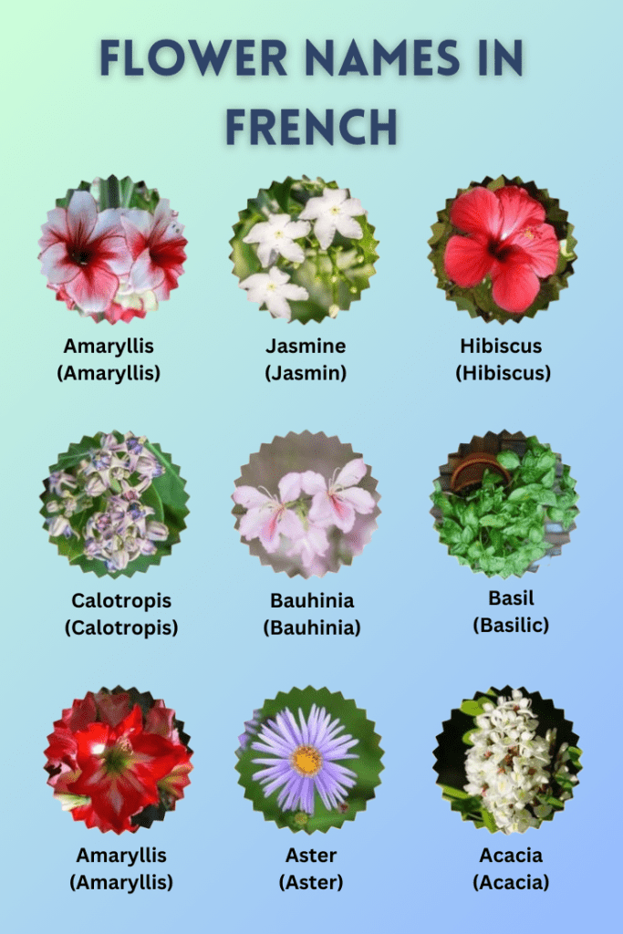 flower names in french