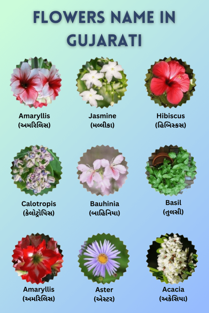 flowers name in gujarati