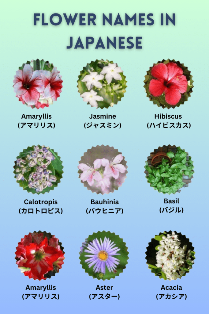 flowers name in japanese