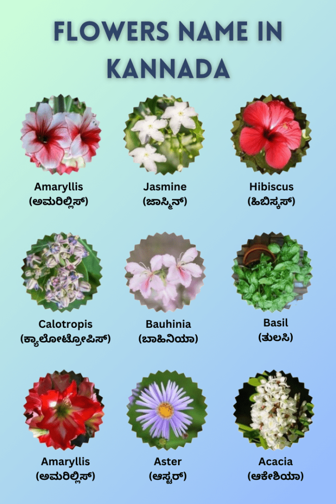 flowers name in kannada