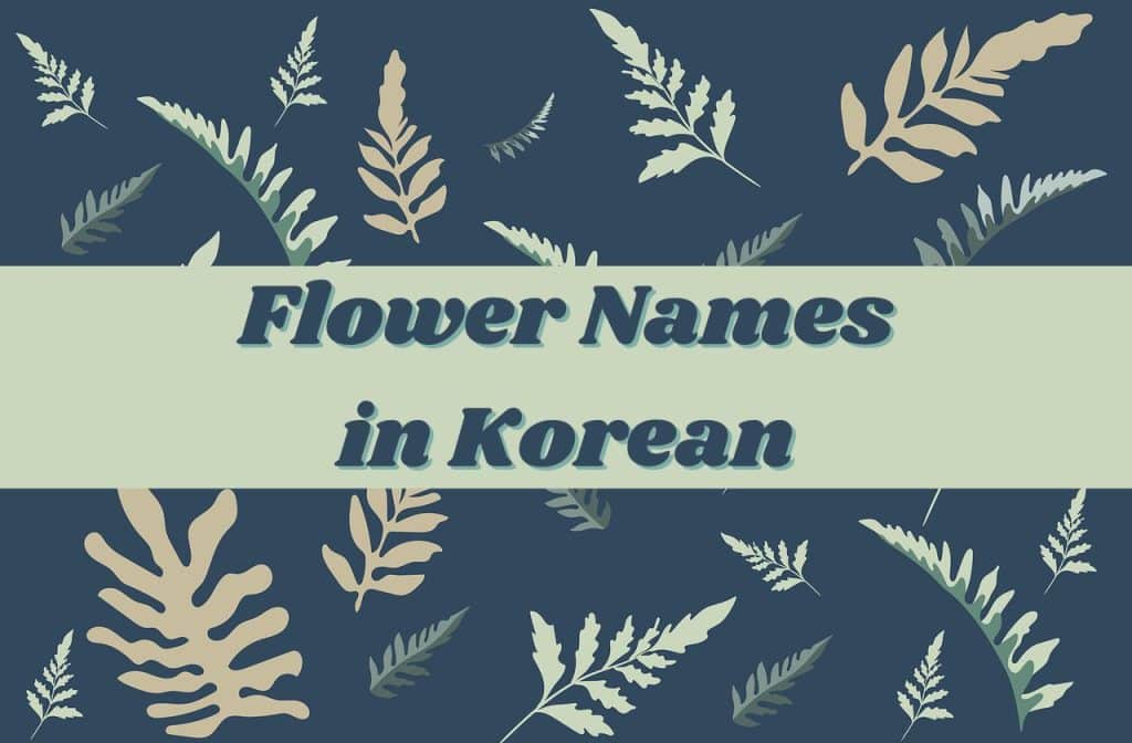 korean flower names