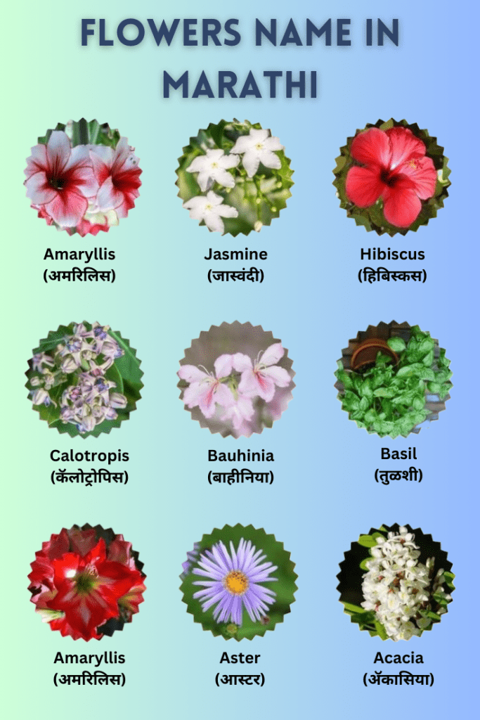 flowers name in marathi