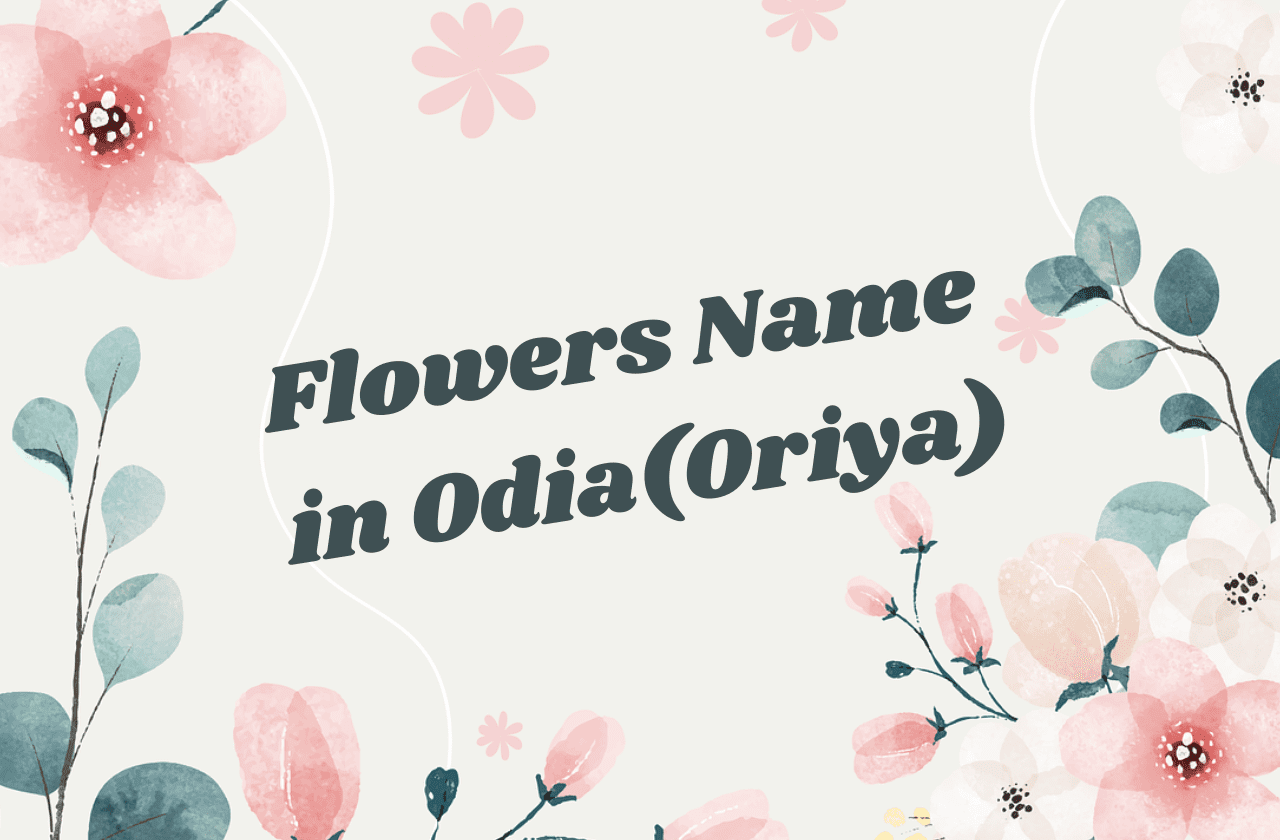 Beautiful Flowers Name in Odia(Oriya) with Pictures (50 ଫୁଲର ନାମ)