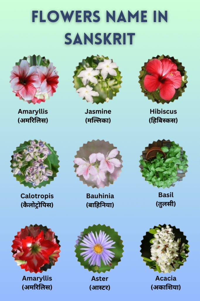 flowers name in sanskrit