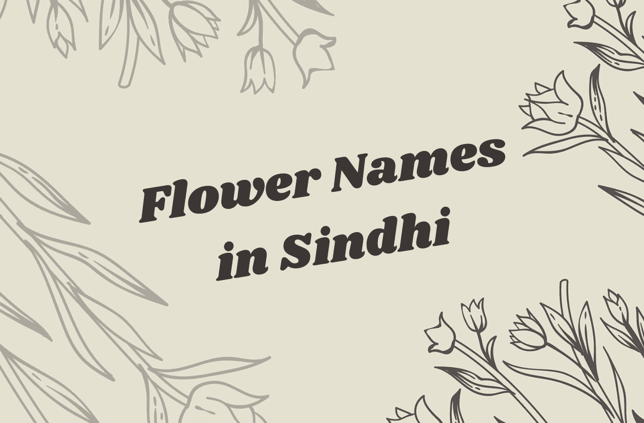 flowers name in sindhi