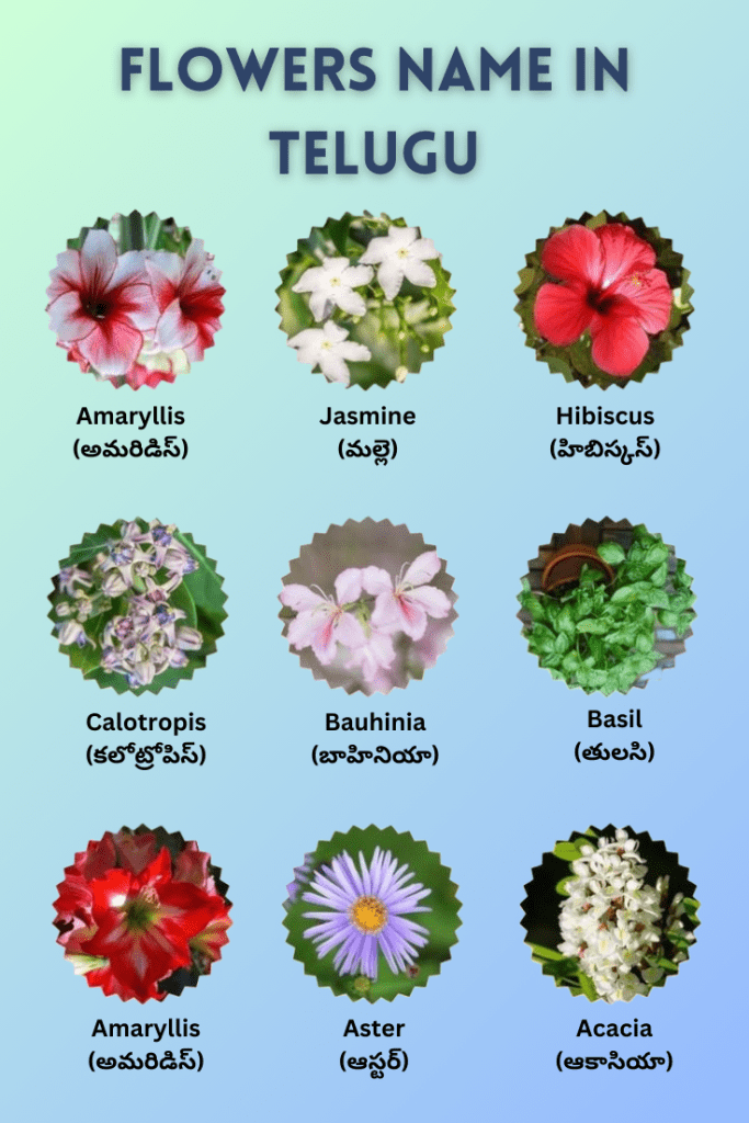 flowers name in telugu