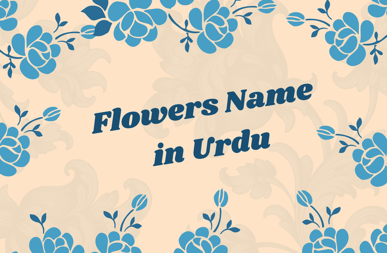 flowers name in urdu