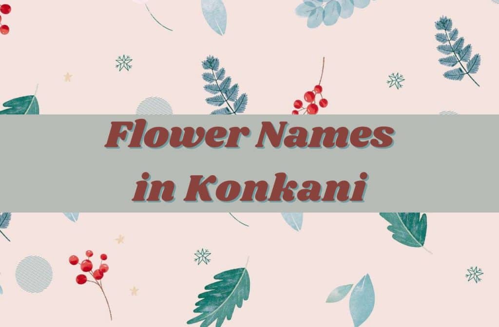 flowers name in konkani