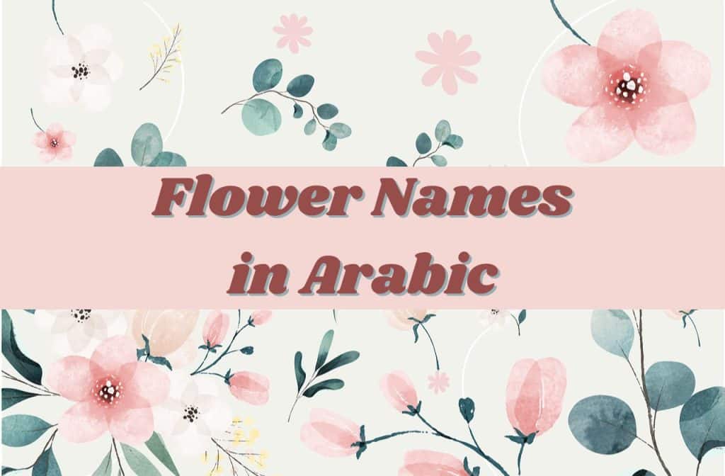 flower name in arabic