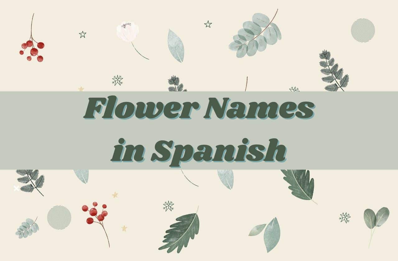 spanish flower names