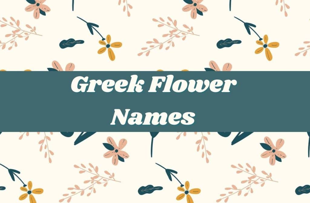 flowers in Greek