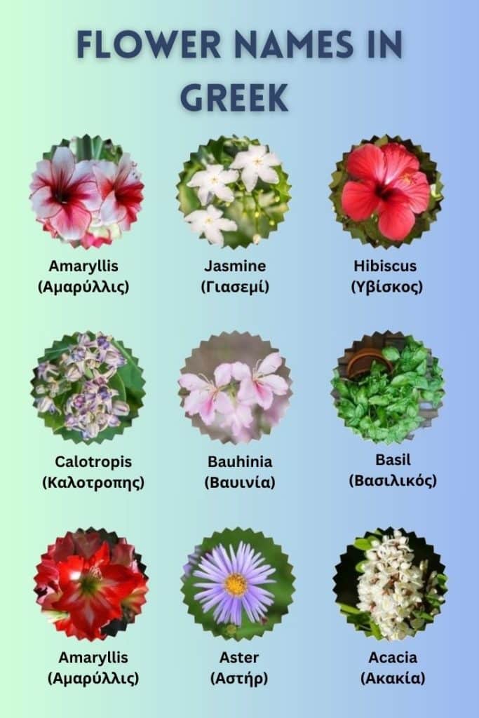 flowers in Greek