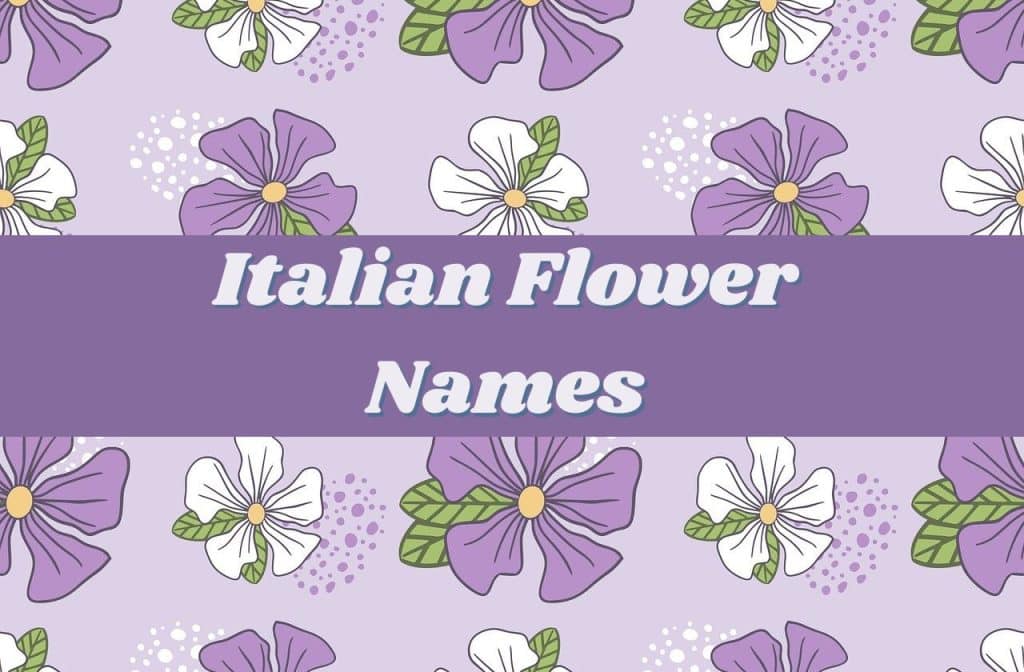 italian flower names