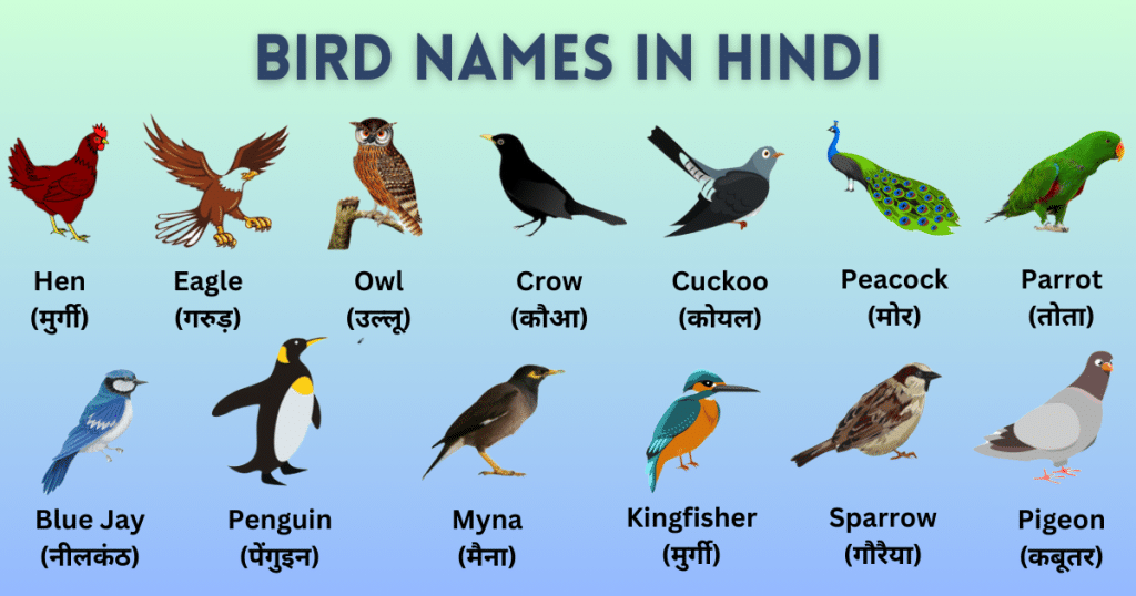 bird names in hindi and english