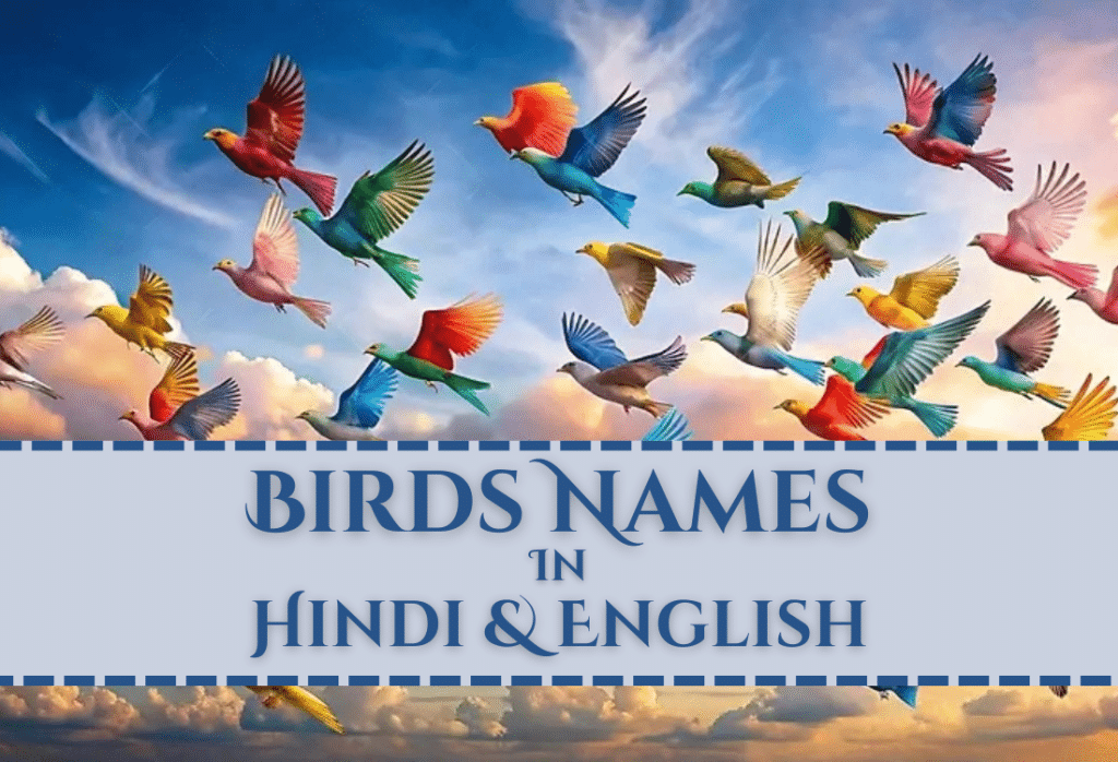 birds name in hindi and english