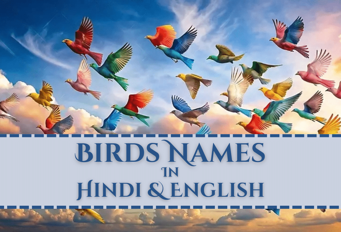 birds name in hindi and english